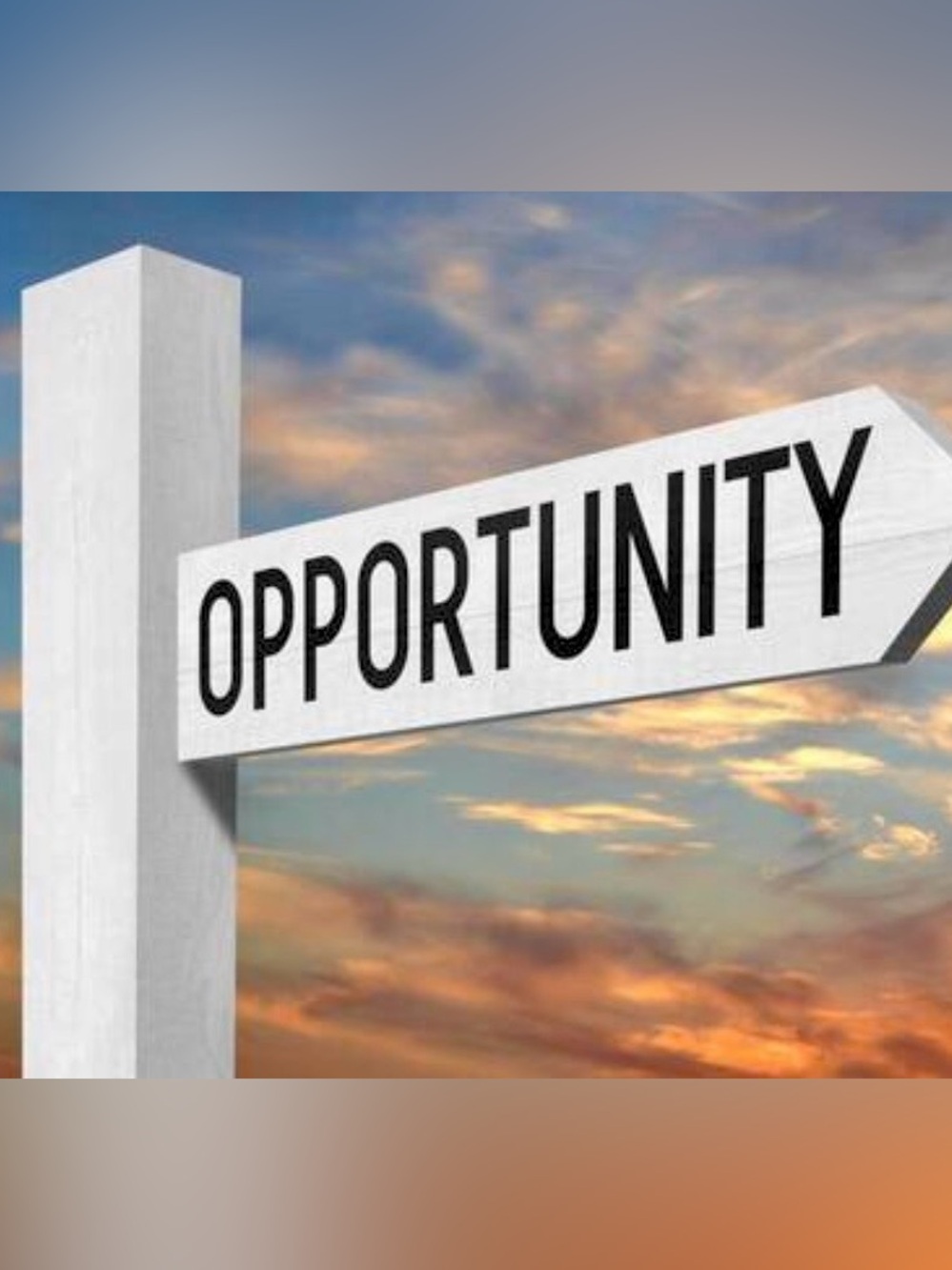 DAILY OPPORTUNITY- FOR ROBIN_CAT_MOM ONLY